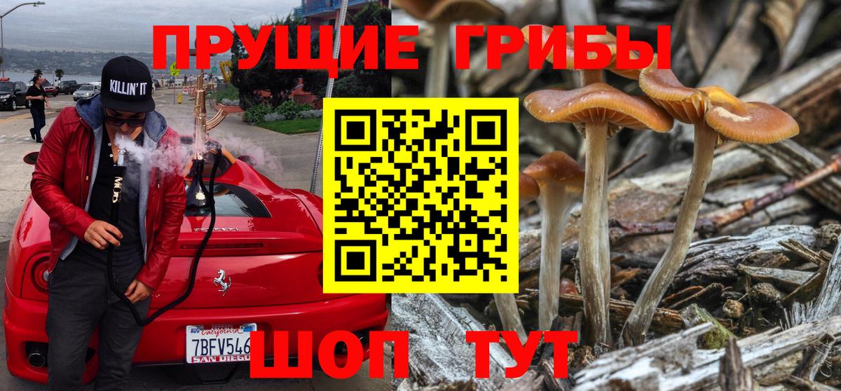 Псилоцибиновые грибы Psilocybine cubensis  Вход с VPN  Ишимбай 